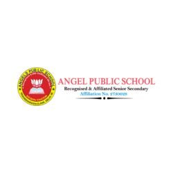 Angel Public School, Delhi