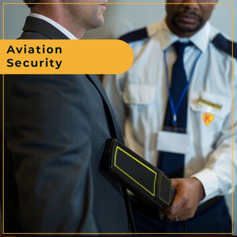 Aviation security-img-1